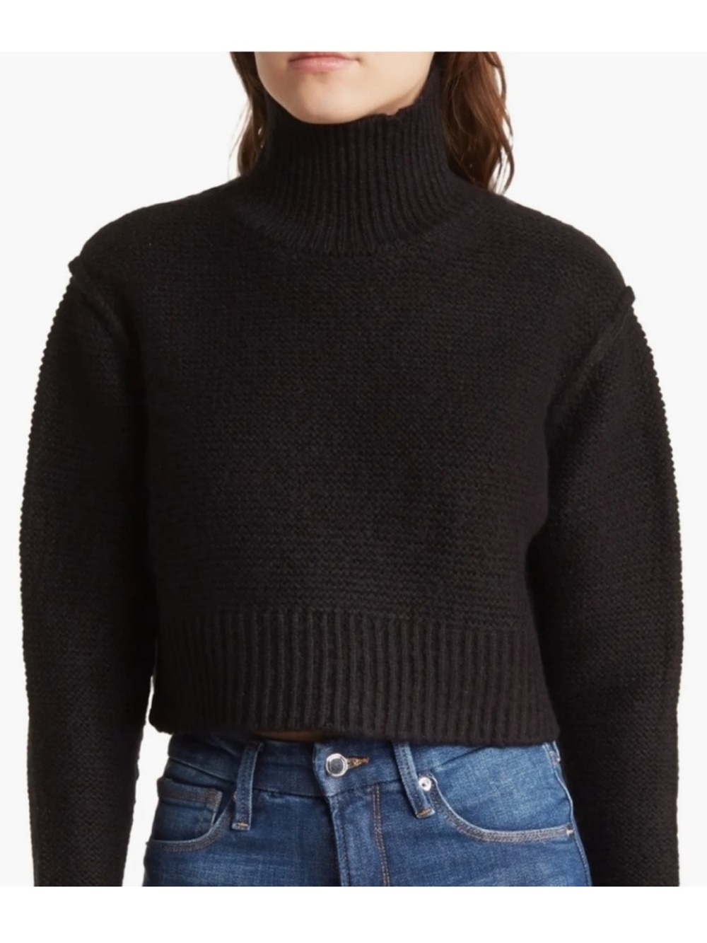 Elodie Black Cropped Crop Turtleneck Sweater XL